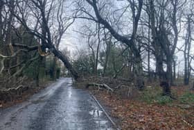 Storm damage near Craster. File image