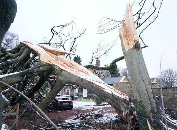 Storm Arwen left thousands without power in Northumberland, some for almost two weeks.