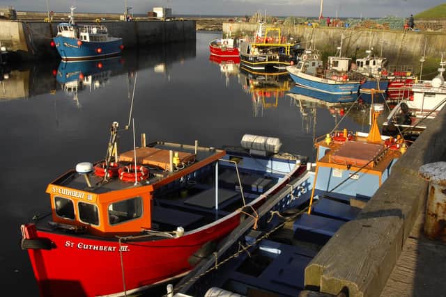 Seahouses harbour.