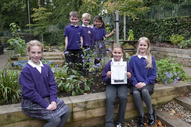 In the schools section, Swansfield Park Primary School won a gold award.
