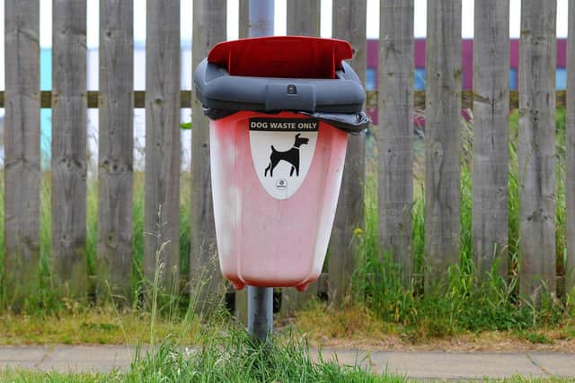 Concerns have been raised about dog fouling in Alnwick. Picture by Frank Reid.