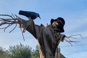 Ford and Etal's Scarycrow trail is back for the October half term holiday.