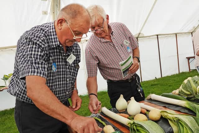 Powburn Show to return after fresh blood found to allay fears for its ...