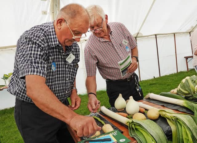 Brothers Ian and Harry Archibald judge the vegetables at Powburn Show.Picture by Jane Coltman                                    