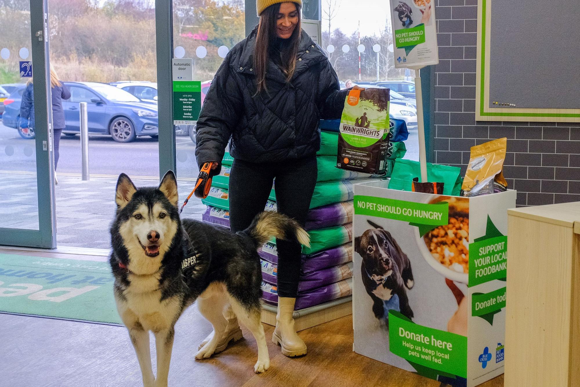 Best pets at online home