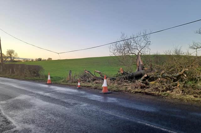 Damage to overhead fibre cables between Mitford and Dyke Neuk.