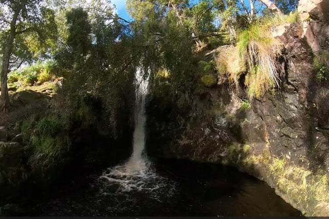 This walk gets you out into the magnificent Northumberland countryside, without the need to get up on the fells. Linhope Spout is one of the classic waterfalls, which if not visited, is worth a visit.
https://planwatchwalk.guide/ingram-valley-linhope-spout-hedgehope-hill-in-northumberland-national-park/