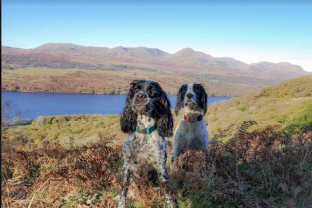 Willow and Bobby reviewing a trip to the Lakes District