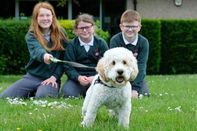 Amelia Blades, Isla-Rose Black and Stuart Wilson with their friend Chip, the school dog.