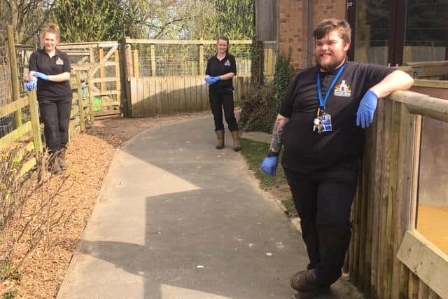 Zookeepers at Kirkley Hall Zoo will be staying on site in isolation to care for the animals during the COVID-19 outbreak.