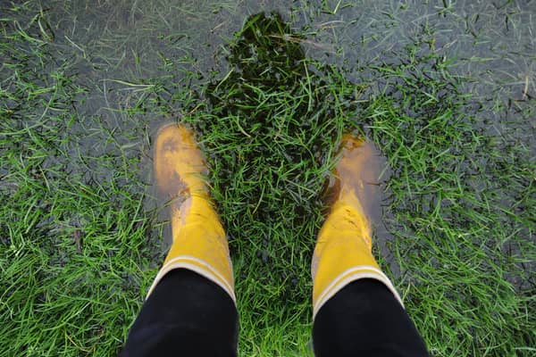 Waterlogged pitches have been a problem for many clubs in recent weeks.