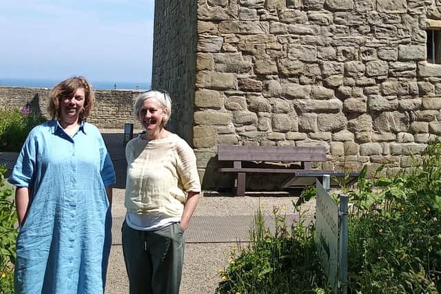 Pele Tower's artists in residence, Beth J Ross and Sarah Cooper, are appealing for submissions. (Photo by Pele Tower)