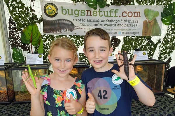 There will be plenty of fun with 'bugs n stuff' at Woodhorn Museum this Easter.