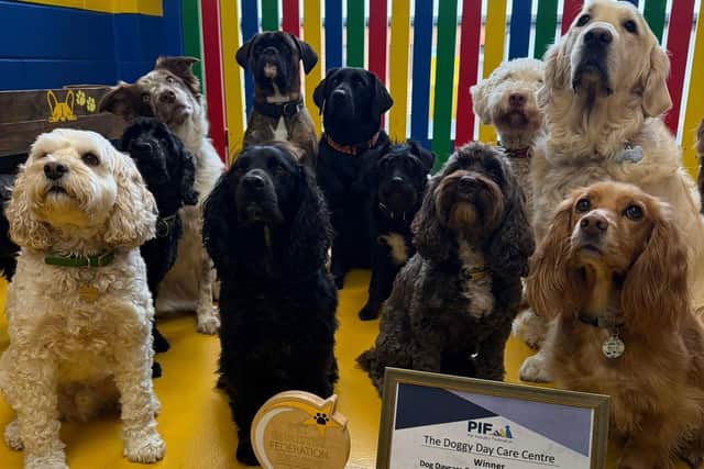 A selection of dogs at the centre in Morpeth with the award.