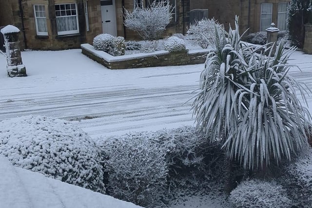 Allison Haswell sent in this snowy scene from Swansfield in Alnwick.
