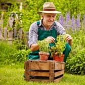 The gardening group will meet every Wednesday morning.