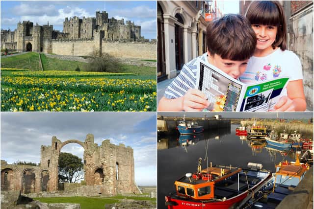 Alnwick, Holy Island and Seahouses feature in the Treasure Trails series.