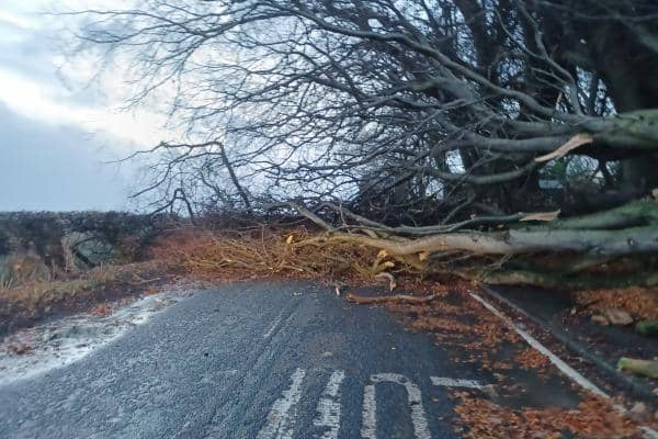 A number of wooded areas in Northumberland were damaged by Storm Arwen in November 2021.