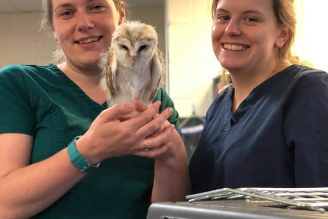 Veterinary nurse Mel Herdman (left) and vet Emily Reeves (right) with August.