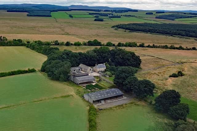 An aerial view of the Gallows Hill Farm site.