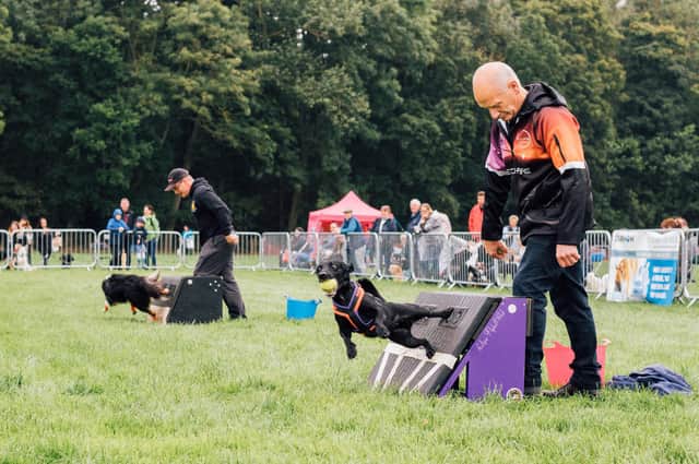 One of the have-a-go activities at the North East Dog Festival. Picture by Ben Heward.