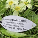 David Cassidy leaf at the Hauxley Wildlife Discovery Centre.