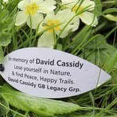 David Cassidy leaf at the Hauxley Wildlife Discovery Centre.