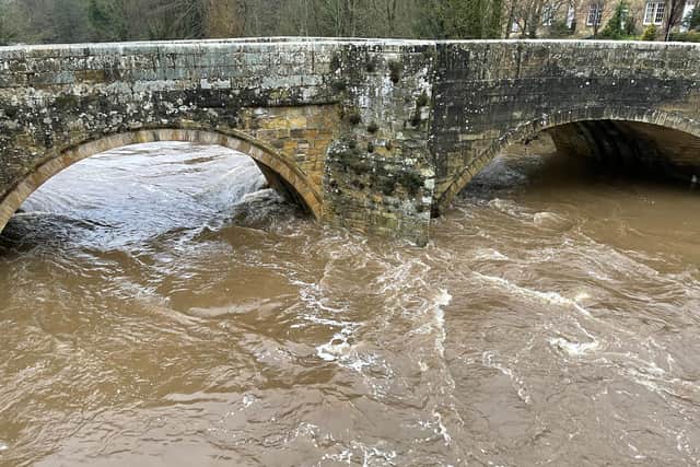 The Coquet, well up and racing under Felton old bridge.