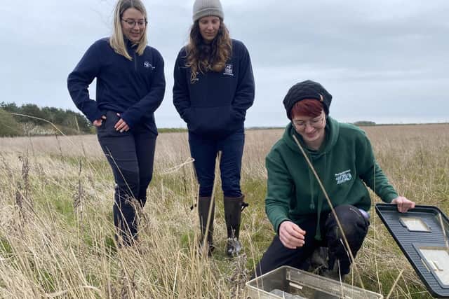 Northumberland Zoo will continue to work with the Northumberland Wildlife Trust for Harvest Mice conservation.