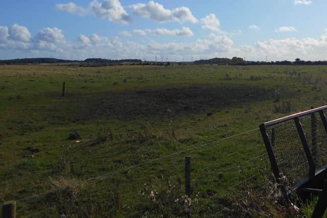 A section of the proposed Highthorn opencast mine site between Widdrington and Druridge Bay.