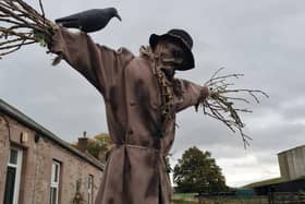 Ford and Etal's scarycrow trail returns over the half-term holiday.