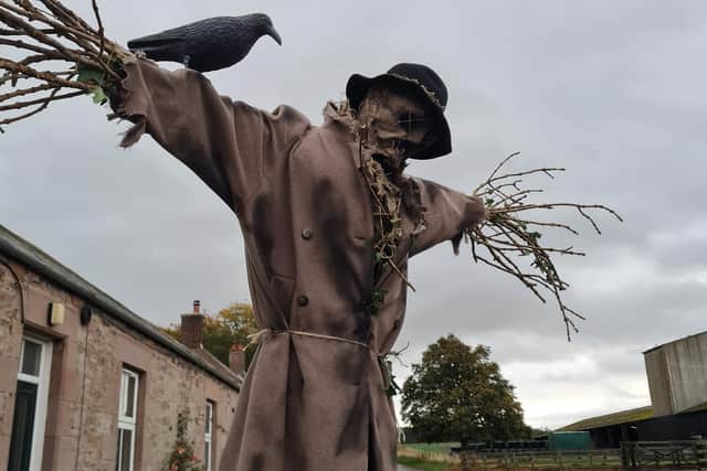 Ford and Etal's scarycrow trail returns over the half-term holiday.