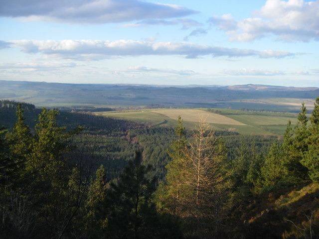 Thrunton Woods, Alnwick, is planted on and around two steep crags and provides spectacular views of Northumberland as a result. With its cafe now back open, it is the perfect place for a quite walk in the depths of a stunning forest. Mountain biking and horse riding is also a welcome activity here.