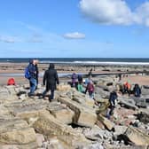 The geo-walk will be led by local expert Dr Ian Kille and it will take place at Cocklawburn Beach.
