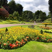 The Morpeth beauty spots where you can enjoy a scenic walk include Carlisle Park.