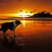 Bamburgh beach at dawn. Picture: Jane Coltman