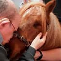 Smurf the Shetland pony brought comfort during his visits to homes and schools.