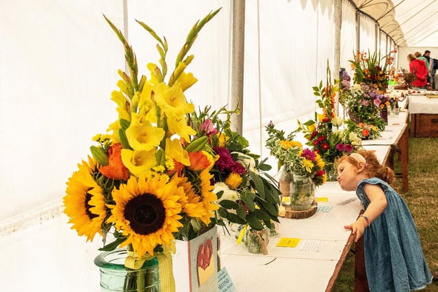 A girl takes a closer look at the flowers on display.
