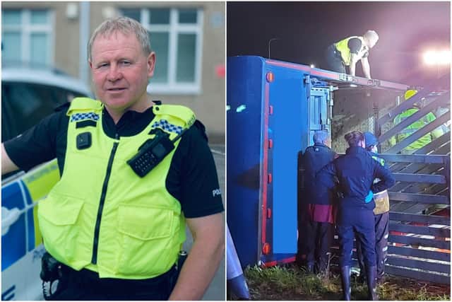 Special constable Michael Scott climbed on top of an overturned lorry to help the trapped farm animals inside.