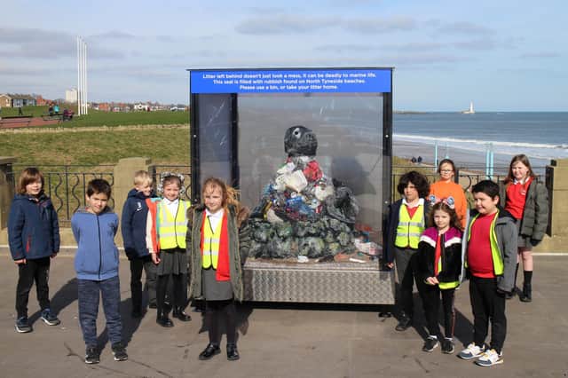 Children from Marine Park First School, Whitley Bay, visit the seal.