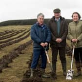 Anne-Marie Trevelyan planting trees at Doddington Forest (pre-Covid) alongside former MEP Paul Brannen and Andy Howard, project manager at Doddington Forest.
