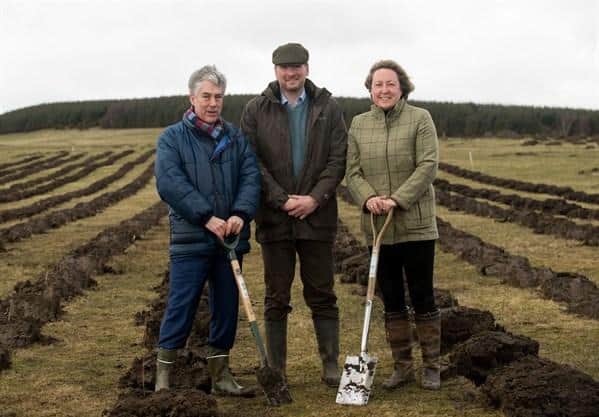 Anne-Marie Trevelyan planting trees at Doddington Forest (pre-Covid) alongside former MEP Paul Brannen and Andy Howard, project manager at Doddington Forest.