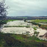 Northumberland Flood Plain. Picture: Jim Donnelly