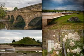 A selection of pictures from Alnwick Camera Club's stroll alongside the river at Alnmouth.