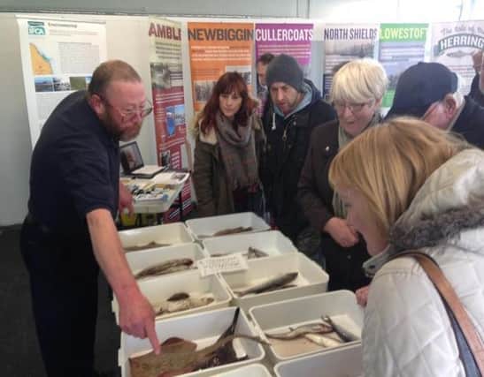 Jon Green, left, doing the work he loved, providing a fish identification session for the public at Northumberland Seafood Centre in Amble.