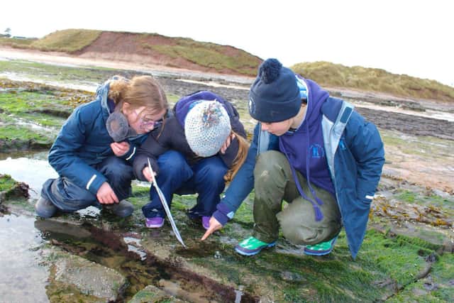 Longridge pupils enjoy exploring at Beach School.