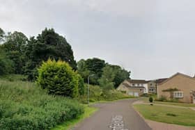 Springfield Meadow in Alnwick.