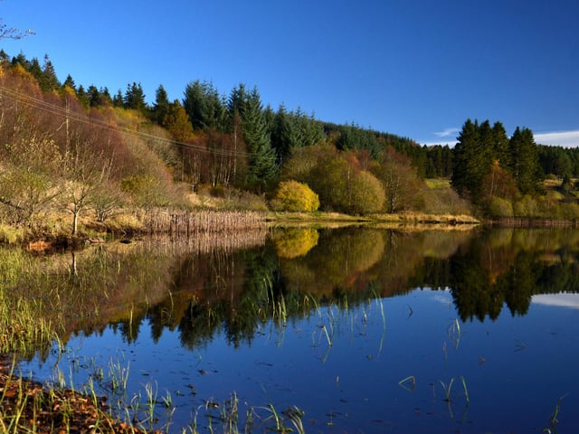 Kielder Forest is one of Northumberland's greatest nature spots and home to Europe’s largest man-made lake. The combination of woodland and water makes it a must-see for avid campers seeking one last trip before winter.