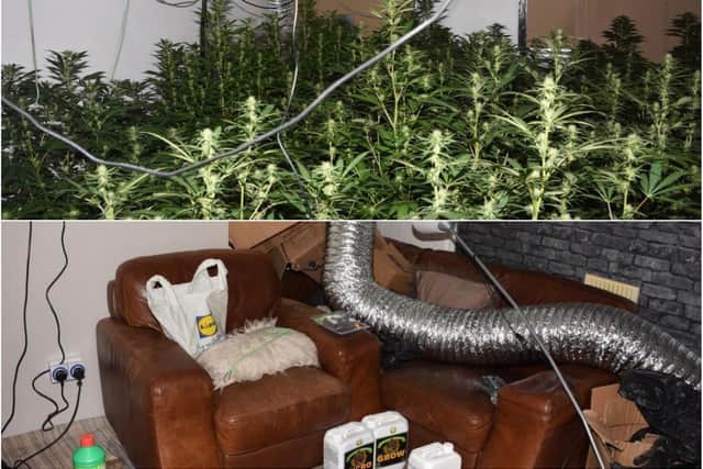 Part of the cannabis farm set up in the rental property.