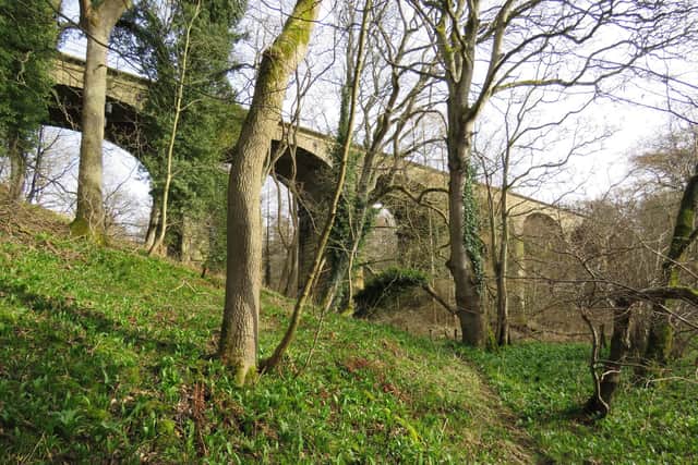 The Cawledge Viaduct. Picture: Tom Lloyd/AVR